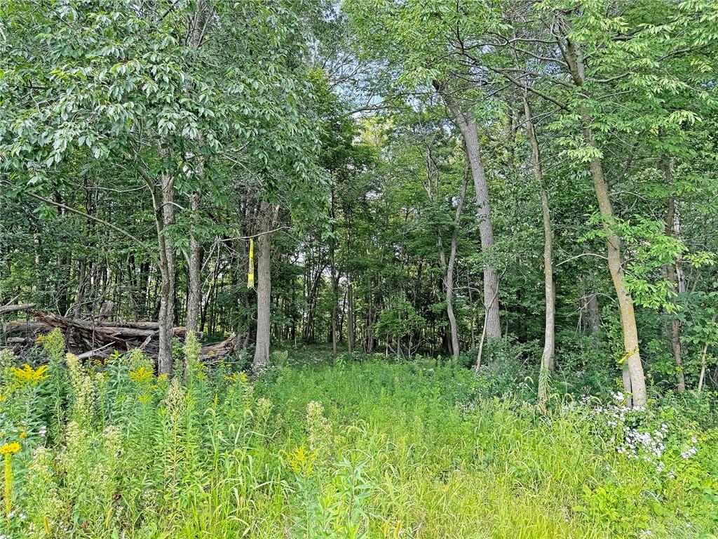 XXX 57th Avenue Osceola WI 54020 1585093 image1