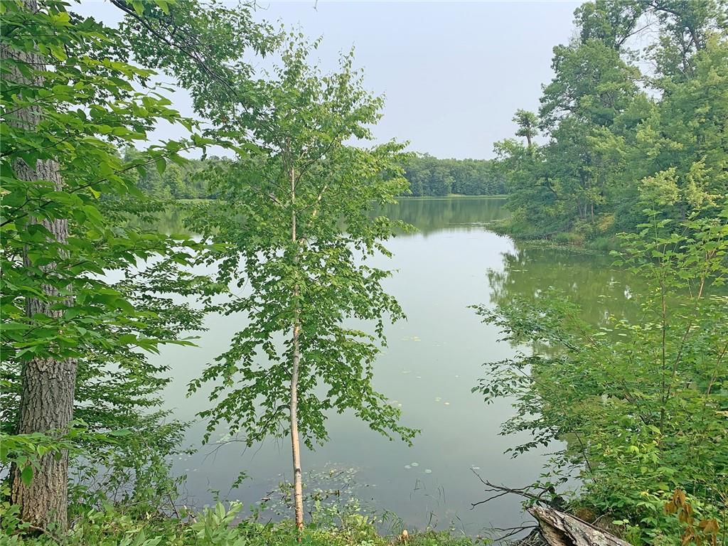 XXX 60th Street Luck WI 54853 - Pickeral Lake 1575141 image1
