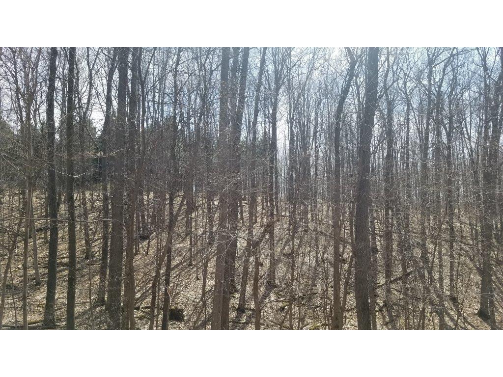 XXX 7 - 7 1/4 Avenue Hillsdale WI 54733 1580829 image1