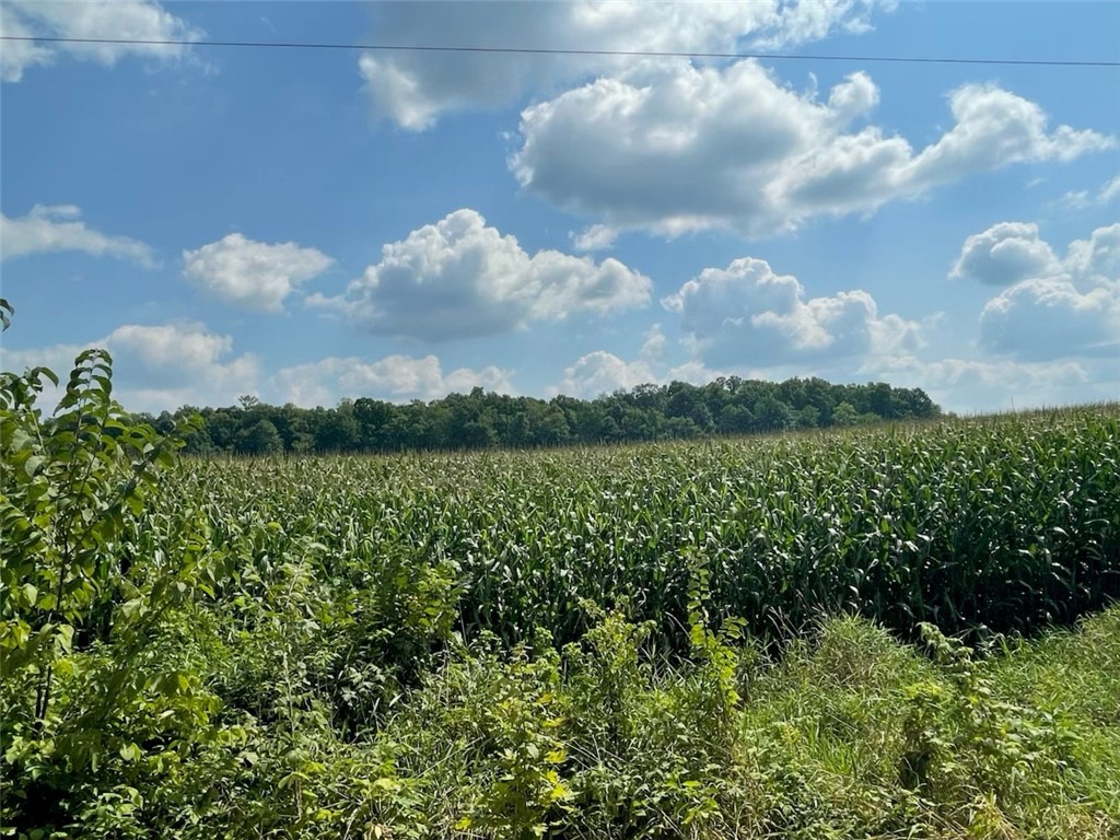 XXX 74th Street Luck WI 54853 - Big Blake Lake 1594529 image10