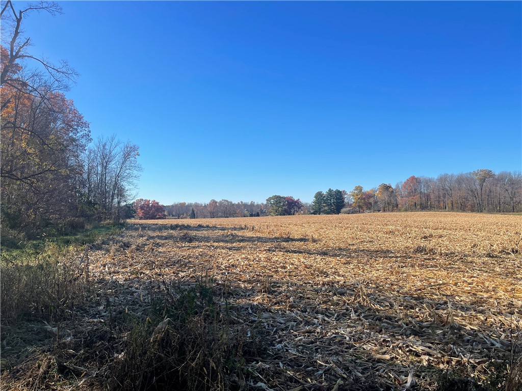 XXX 74th Street Luck WI 54853 - Big Blake Lake 1594529 image16