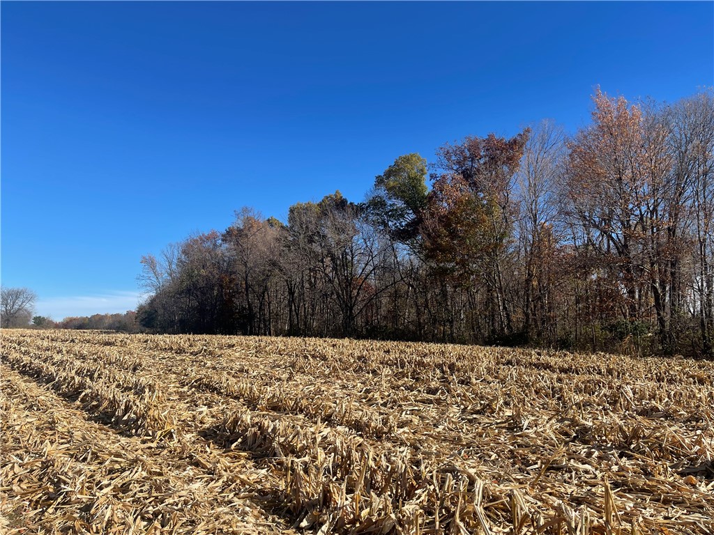 XXX 74th Street Luck WI 54853 - Big Blake Lake 1594529 image17