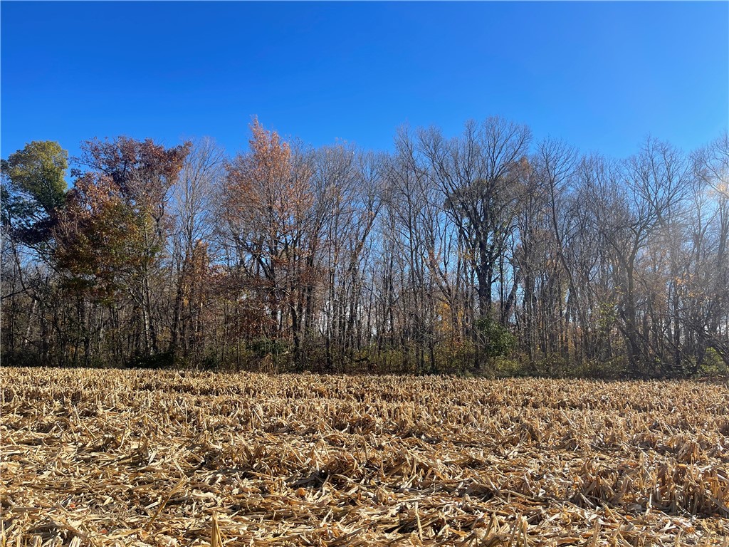 XXX 74th Street Luck WI 54853 - Big Blake Lake 1594529 image18