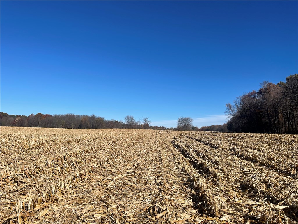 XXX 74th Street Luck WI 54853 - Big Blake Lake 1594529 image2