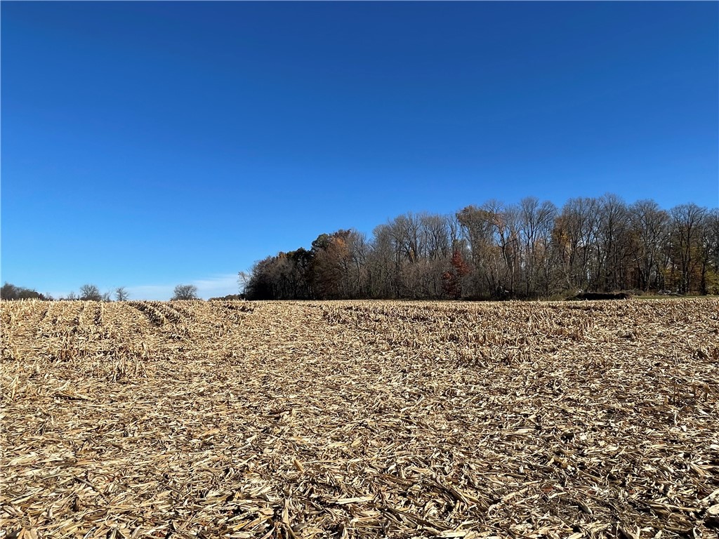 XXX 74th Street Luck WI 54853 - Big Blake Lake 1594529 image4