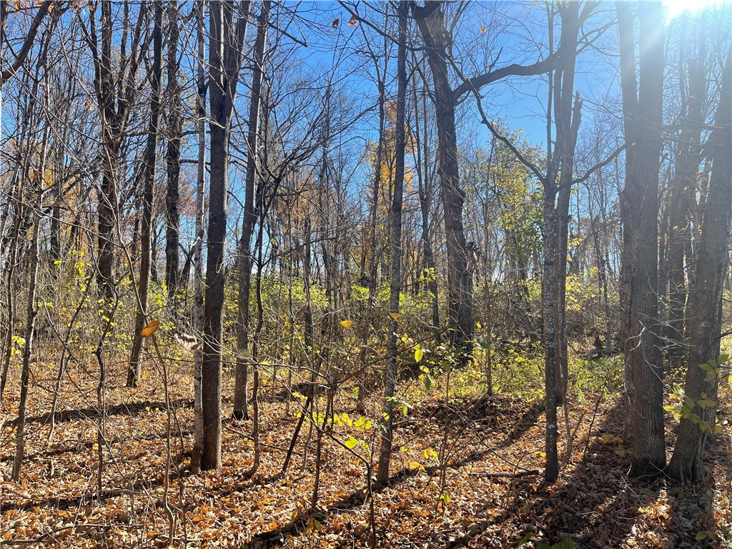 XXX 74th Street Luck WI 54853 - Big Blake Lake 1594529 image5