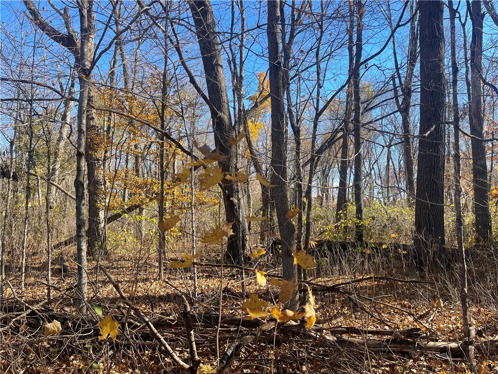 XXX 74th Street Luck WI 54853 - Big Blake Lake 1594529 image9