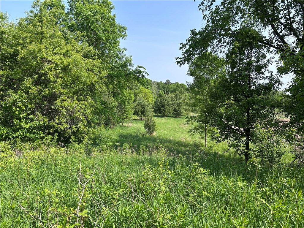 XXX Agate Road Frederic WI 54837 1593919 image1