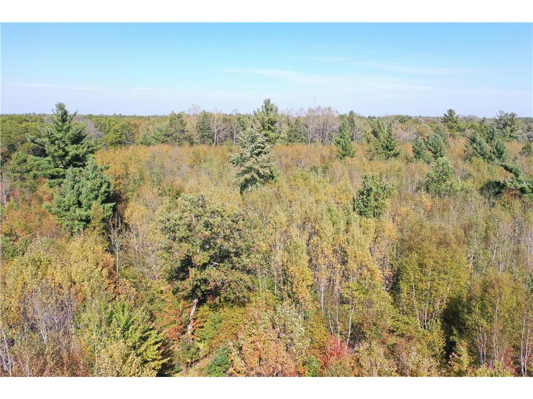 XXX Bluebird Trail Webster WI 54893 1594548 image3