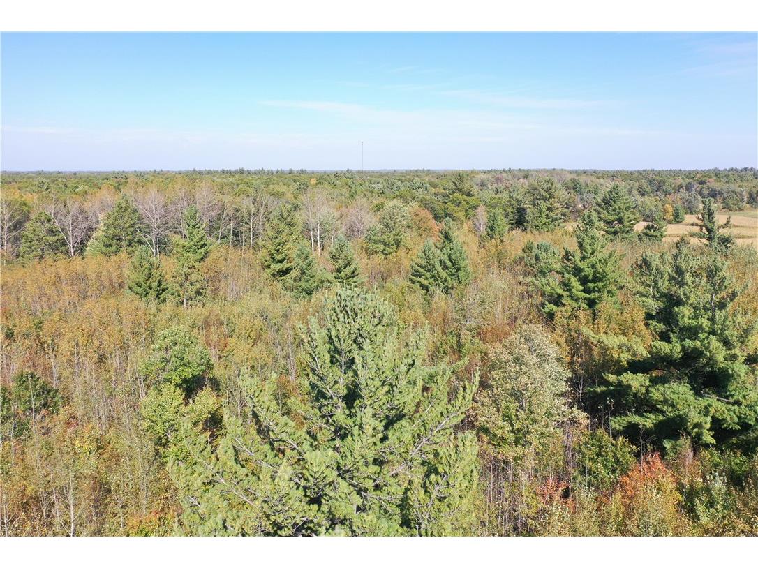 XXX Bluebird Trail Webster WI 54893 1594548 image5