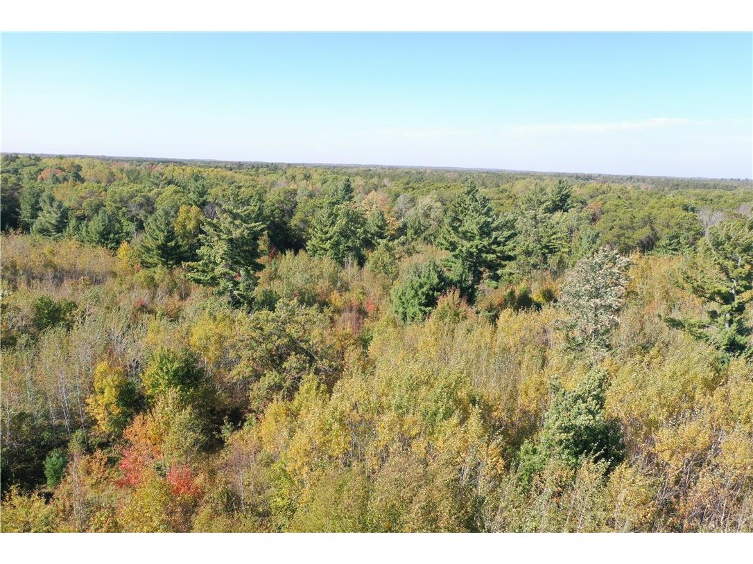 XXX Bluebird Trail Webster WI 54893 1594548 image6