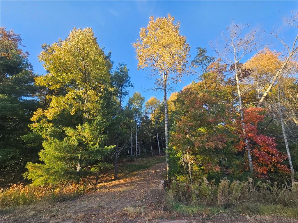 XXX Bushey Road Danbury WI 54830 1586734 image1