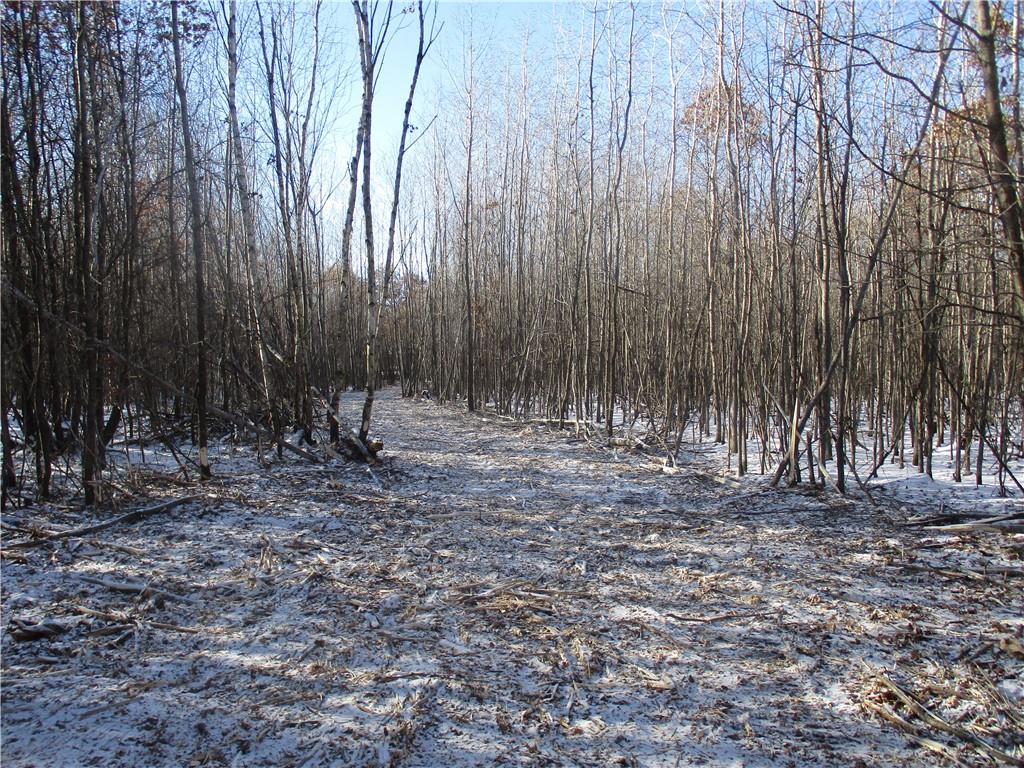 XXX County Highway H Spooner WI 54801 1579190 image1