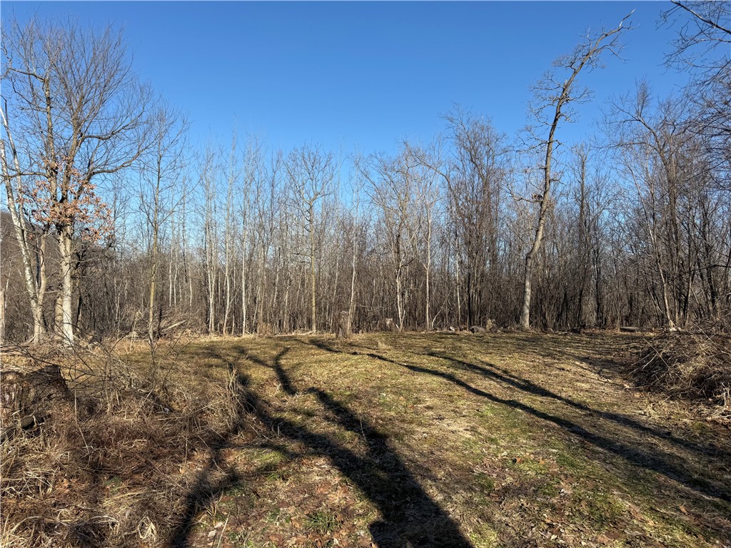 XXX County Rd D Whitehall WI 54773 1598795 image1