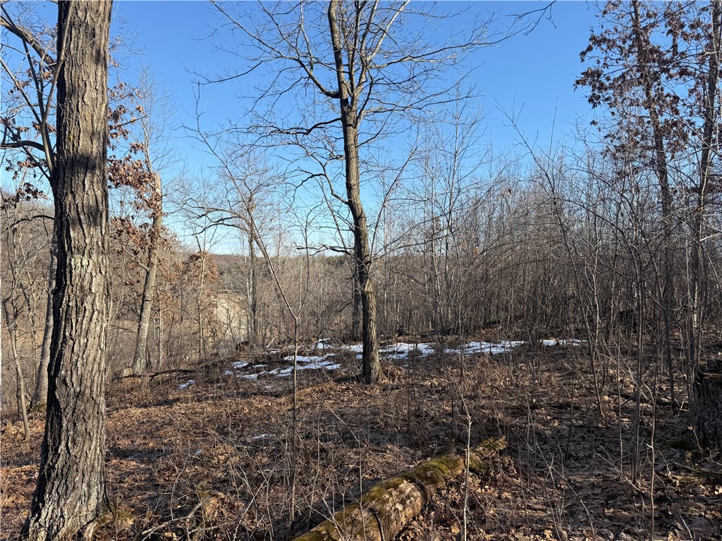 XXX County Rd D Whitehall WI 54773 1598795 image13