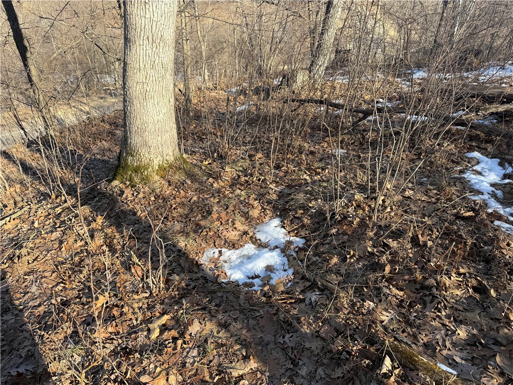 XXX County Rd D Whitehall WI 54773 1598795 image15