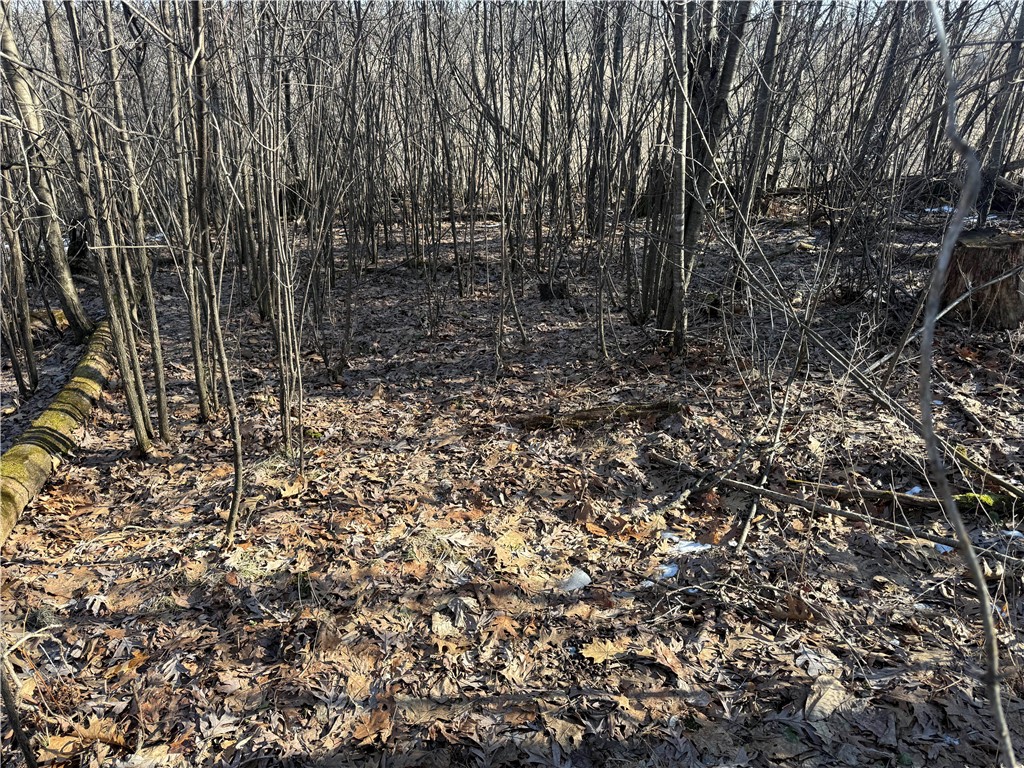 XXX County Rd D Whitehall WI 54773 1598795 image17
