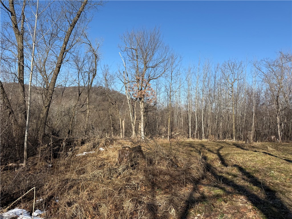 XXX County Rd D Whitehall WI 54773 1598795 image2