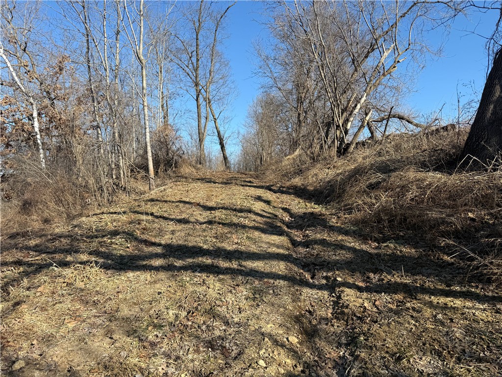 XXX County Rd D Whitehall WI 54773 1598795 image3