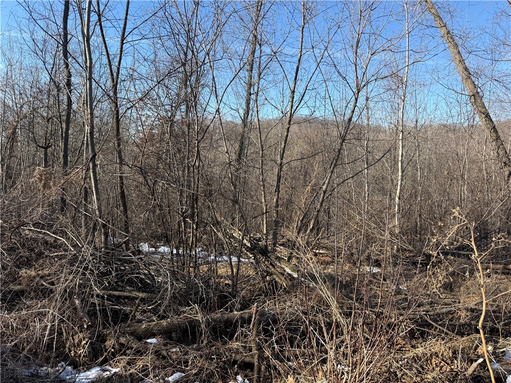 XXX County Rd D Whitehall WI 54773 1598795 image4