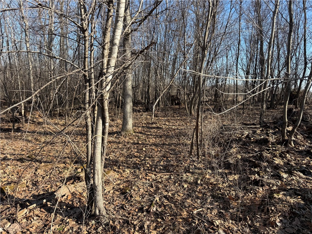 XXX County Rd D Whitehall WI 54773 1598795 image7