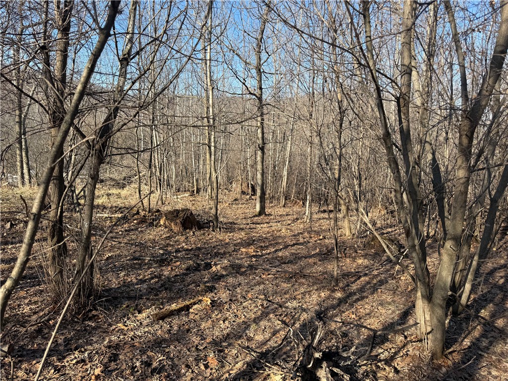 XXX County Rd D Whitehall WI 54773 1598795 image9
