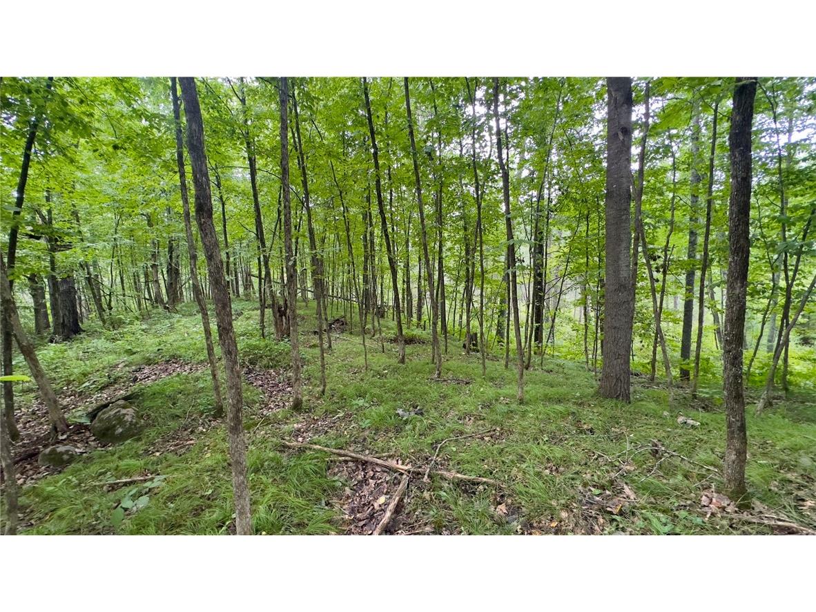 XXX County Rd F Trego WI 54888 1594561 image11