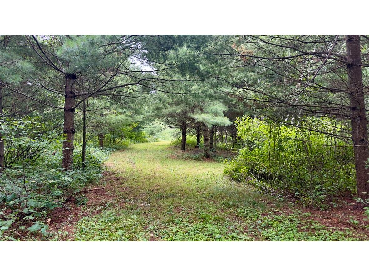 XXX County Rd F Trego WI 54888 1594561 image2