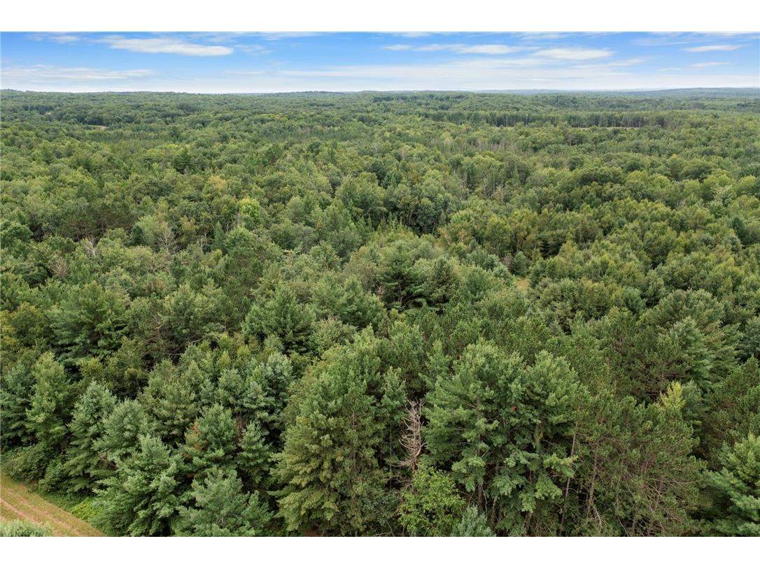 XXX County Rd F Trego WI 54888 1594561 image3