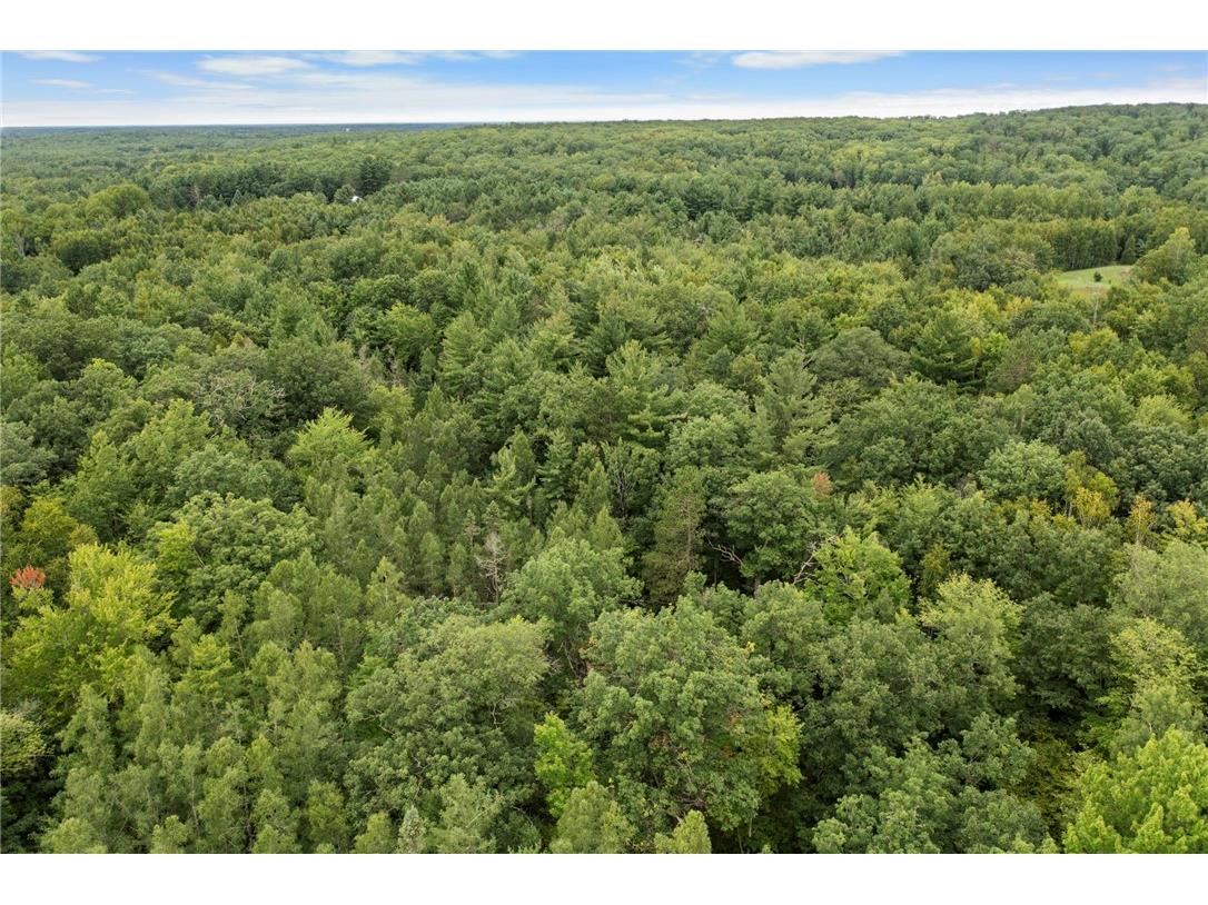 XXX County Rd F Trego WI 54888 1594561 image6