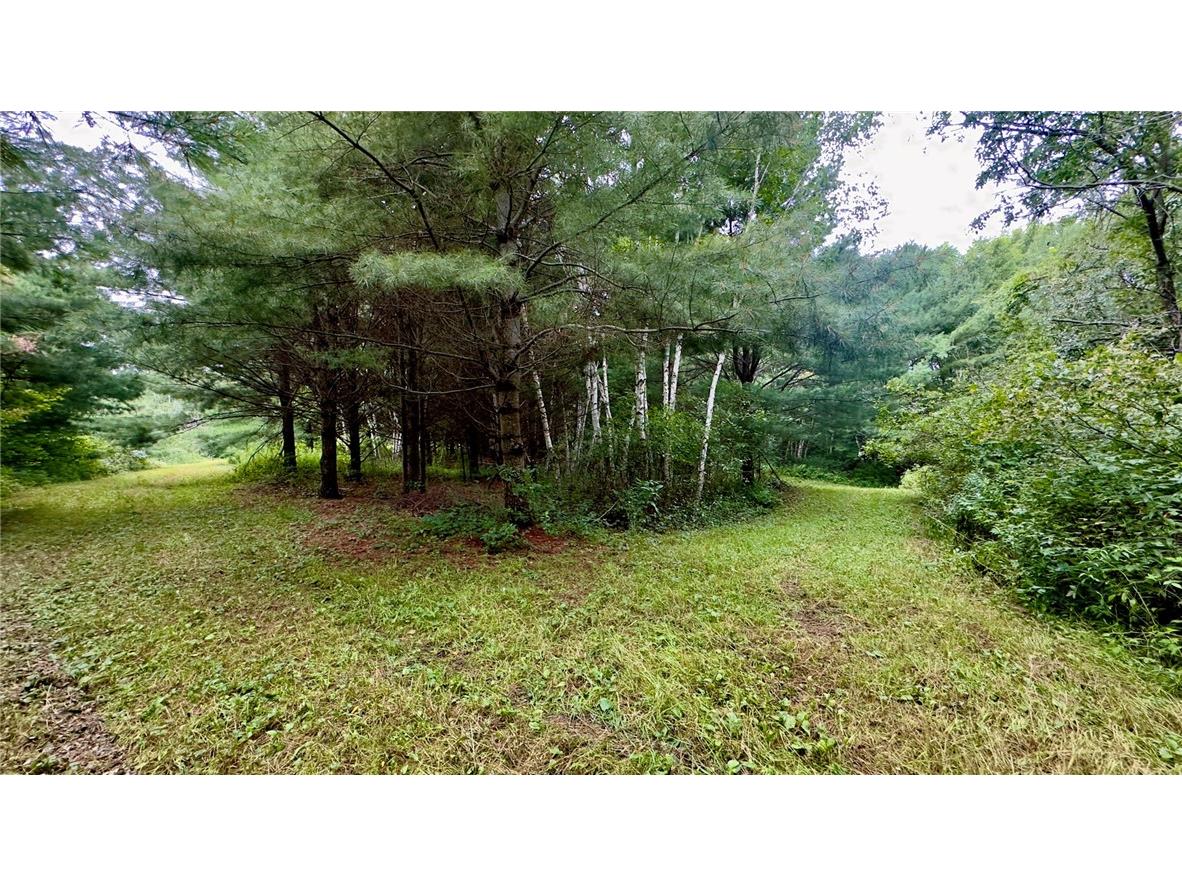 XXX County Rd F Trego WI 54888 1594561 image8