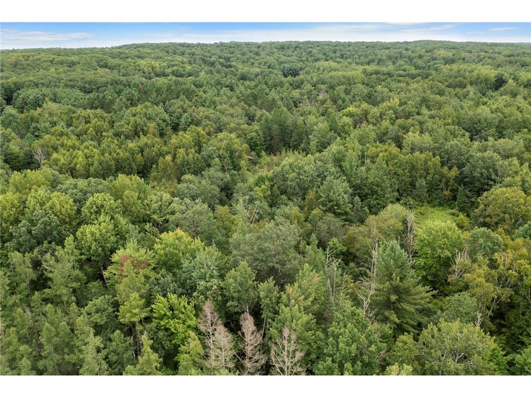 XXX County Rd F Trego WI 54888 1594561 image9