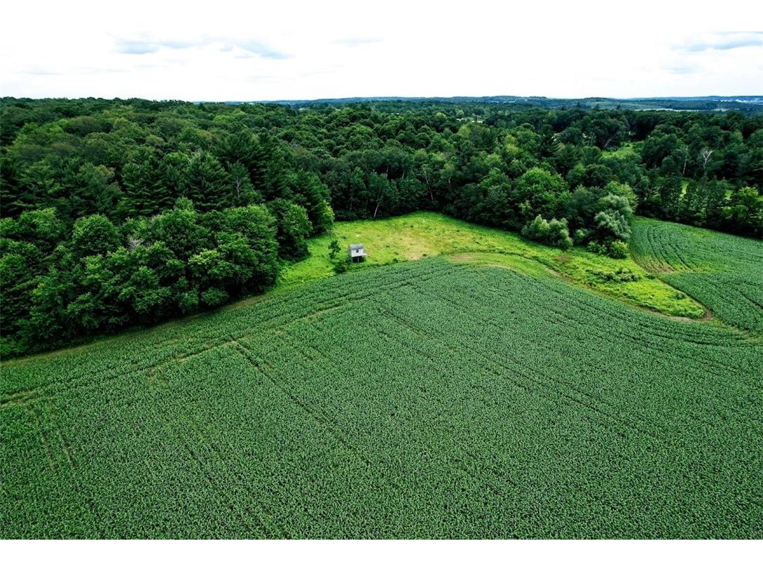 XXX County Road O Dallas WI 54733 - North Branch Upper Pine Creek 1583915 image1