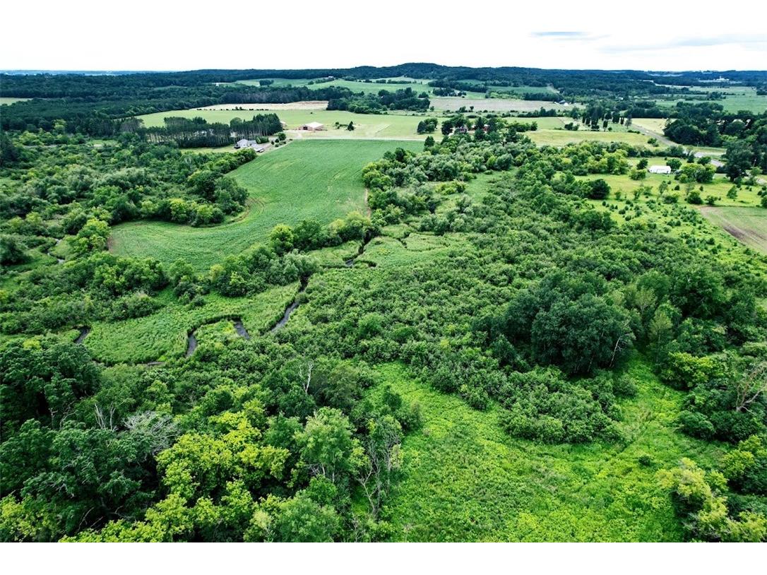 XXX County Rd U Dallas WI 54733 - North Branch Upper Pine Creek 1588764 image1