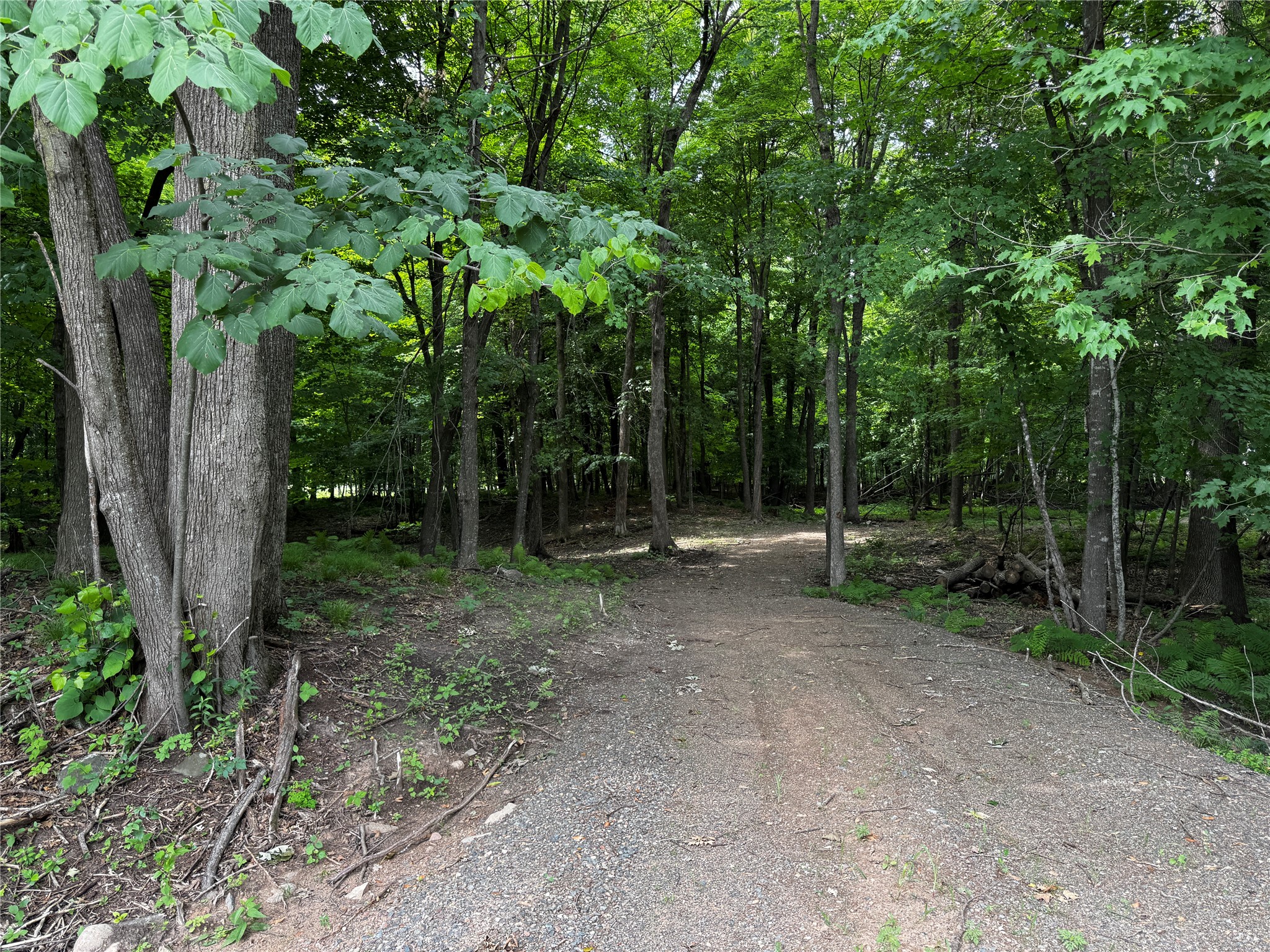 XXX County Road I Balsam Lake WI 54810 - Balsam Lake 1602879 image1