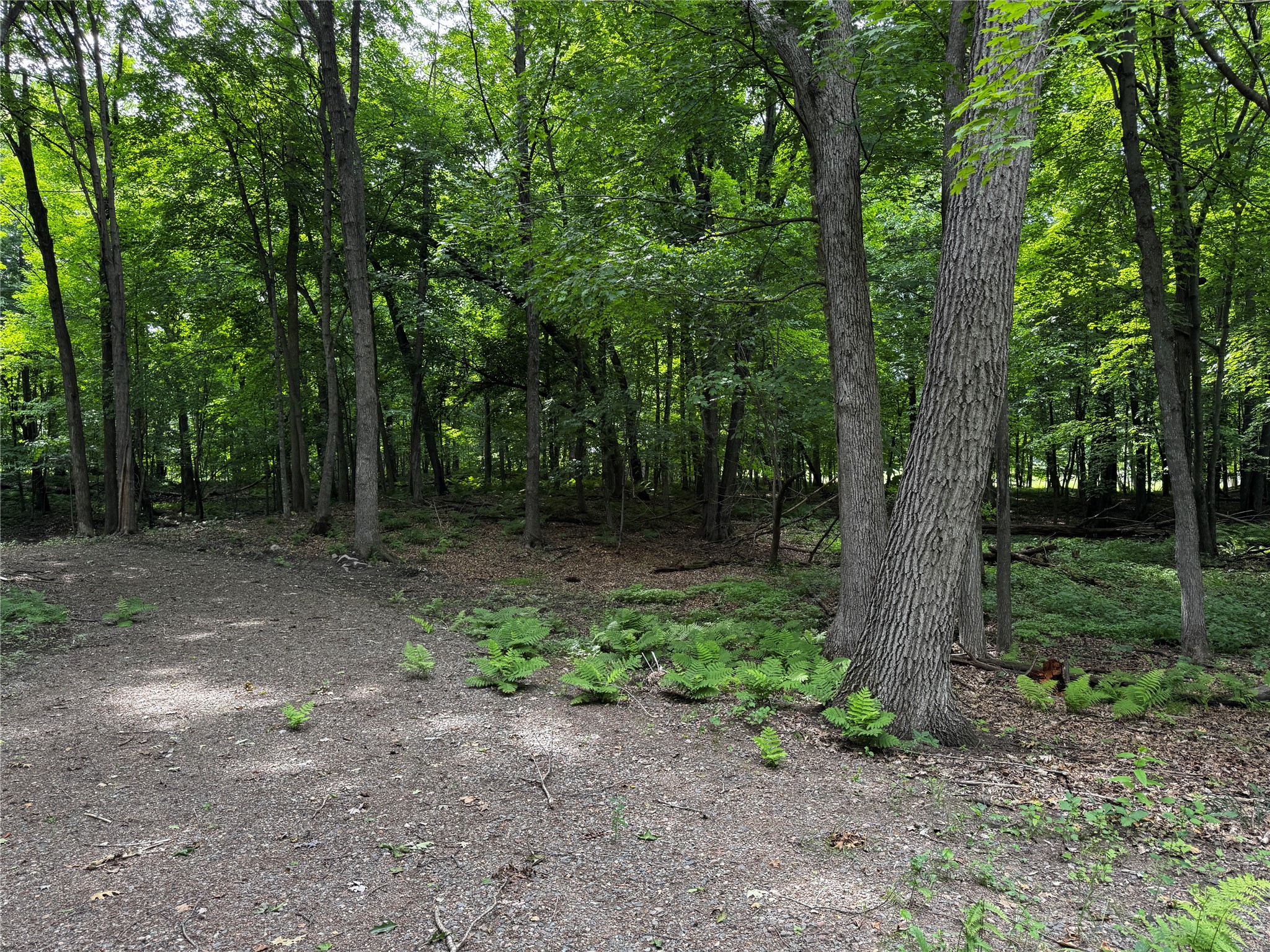 XXX County Road I Balsam Lake WI 54810 - Balsam Lake 1602879 image11