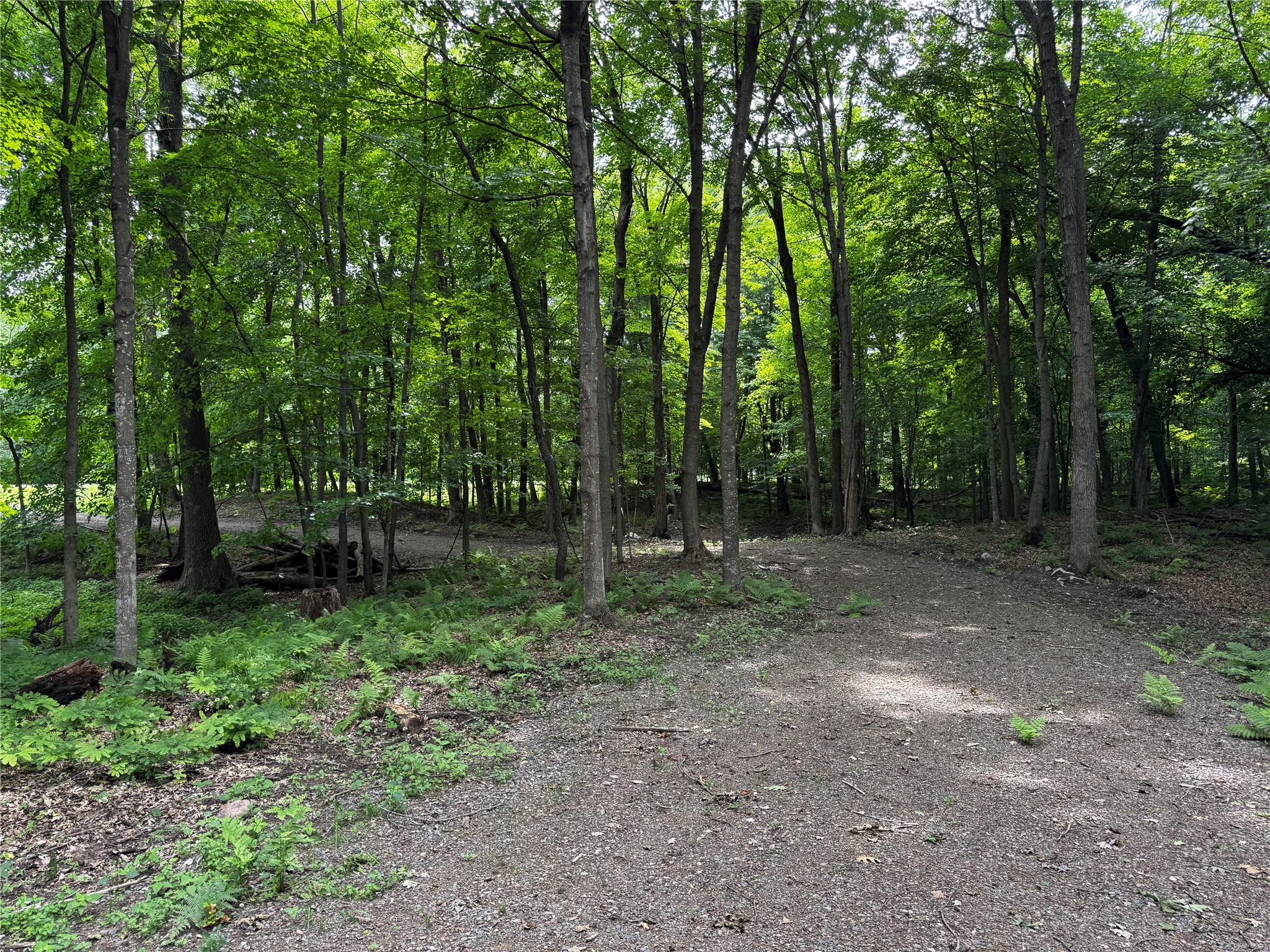 XXX County Road I Balsam Lake WI 54810 - Balsam Lake 1602879 image12