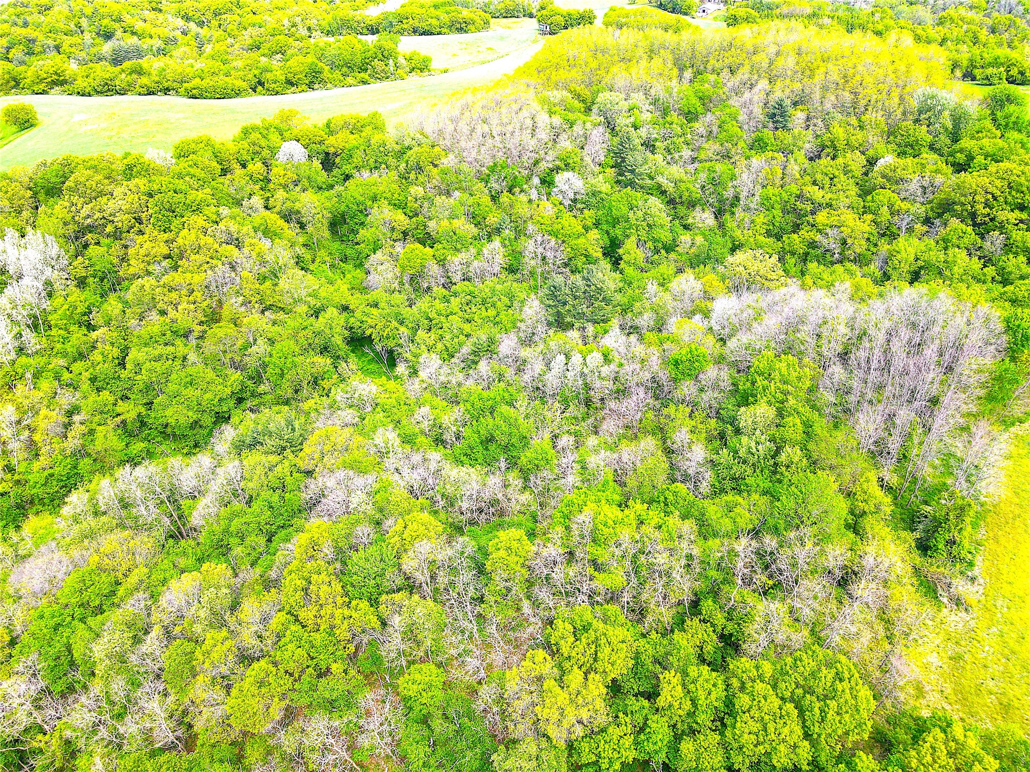 XXX County Road T Arcadia WI 54612 1601333 image13