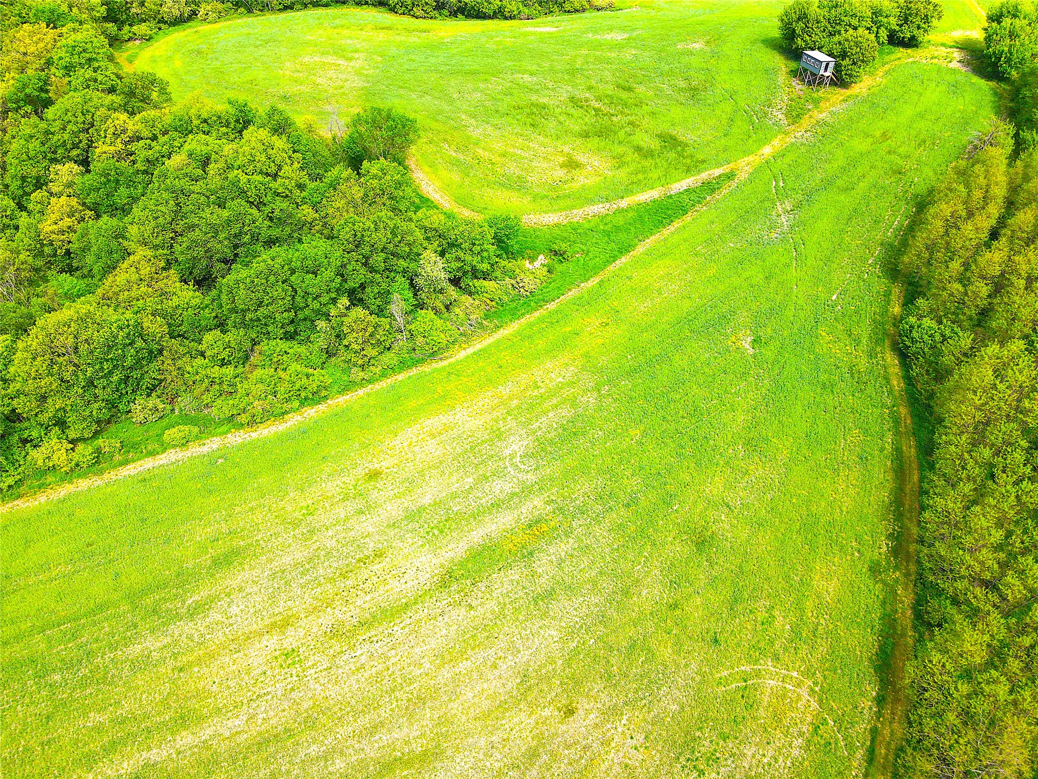 XXX County Road T Arcadia WI 54612 1601333 image15