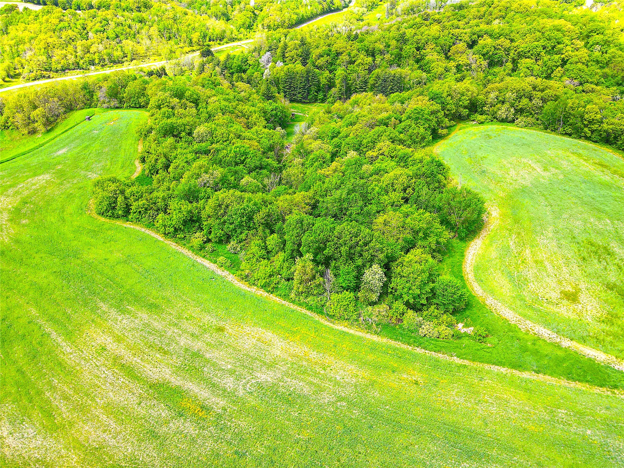 XXX County Road T Arcadia WI 54612 1601333 image16