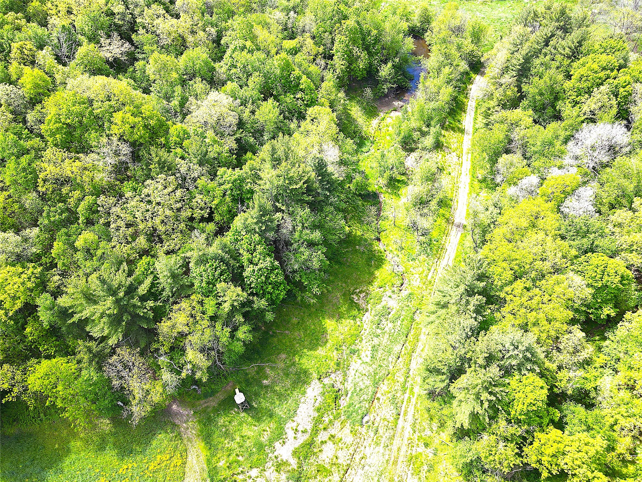 XXX County Road T Arcadia WI 54612 1601333 image17