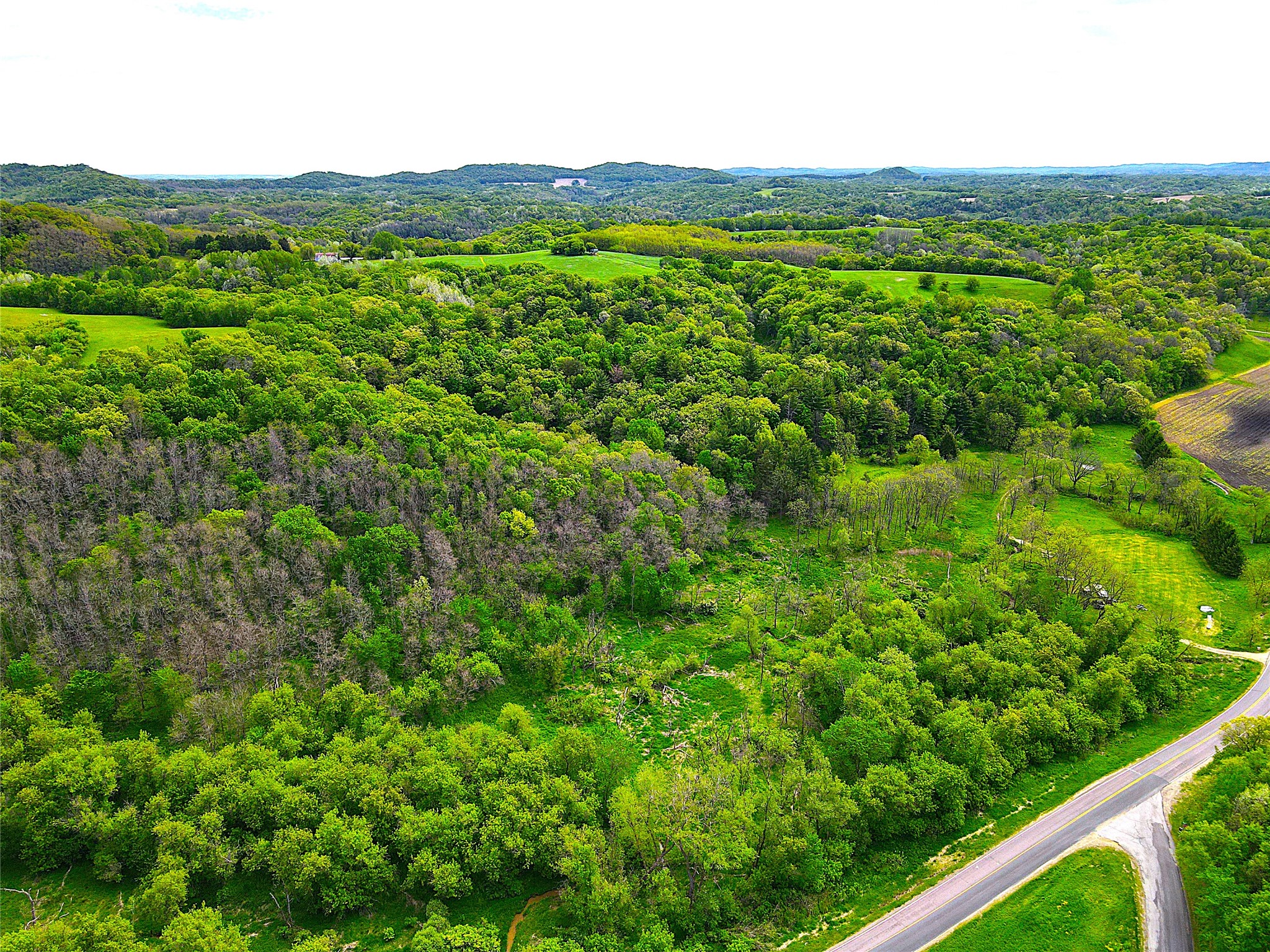 XXX County Road T Arcadia WI 54612 1601333 image2