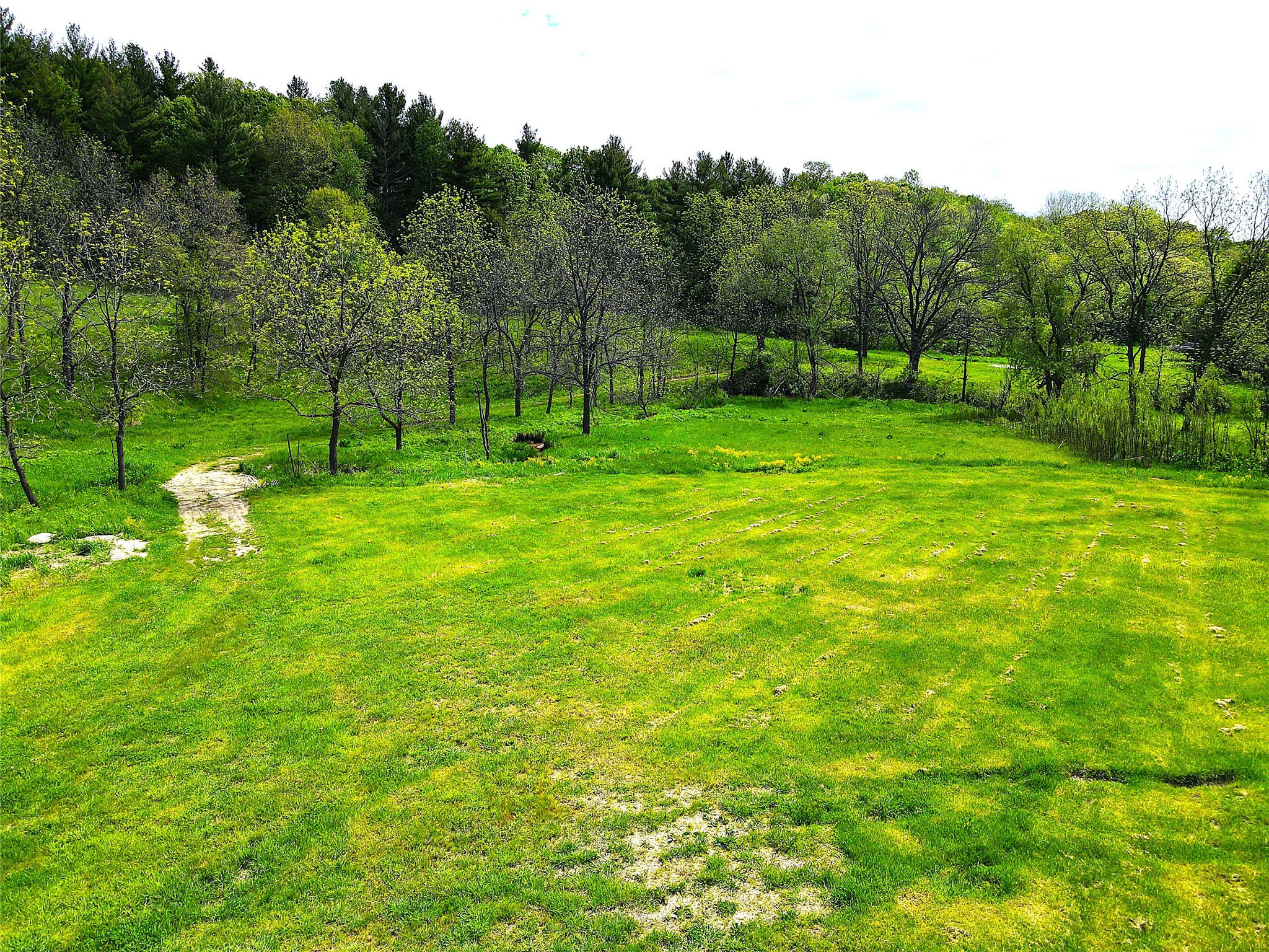 XXX County Road T Arcadia WI 54612 1601333 image21