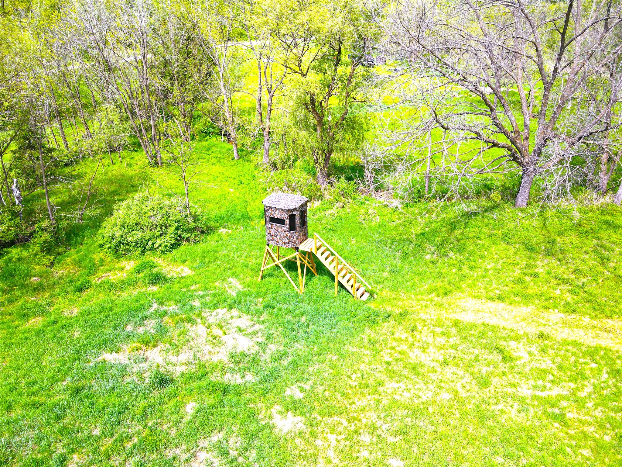 XXX County Road T Arcadia WI 54612 1601333 image22