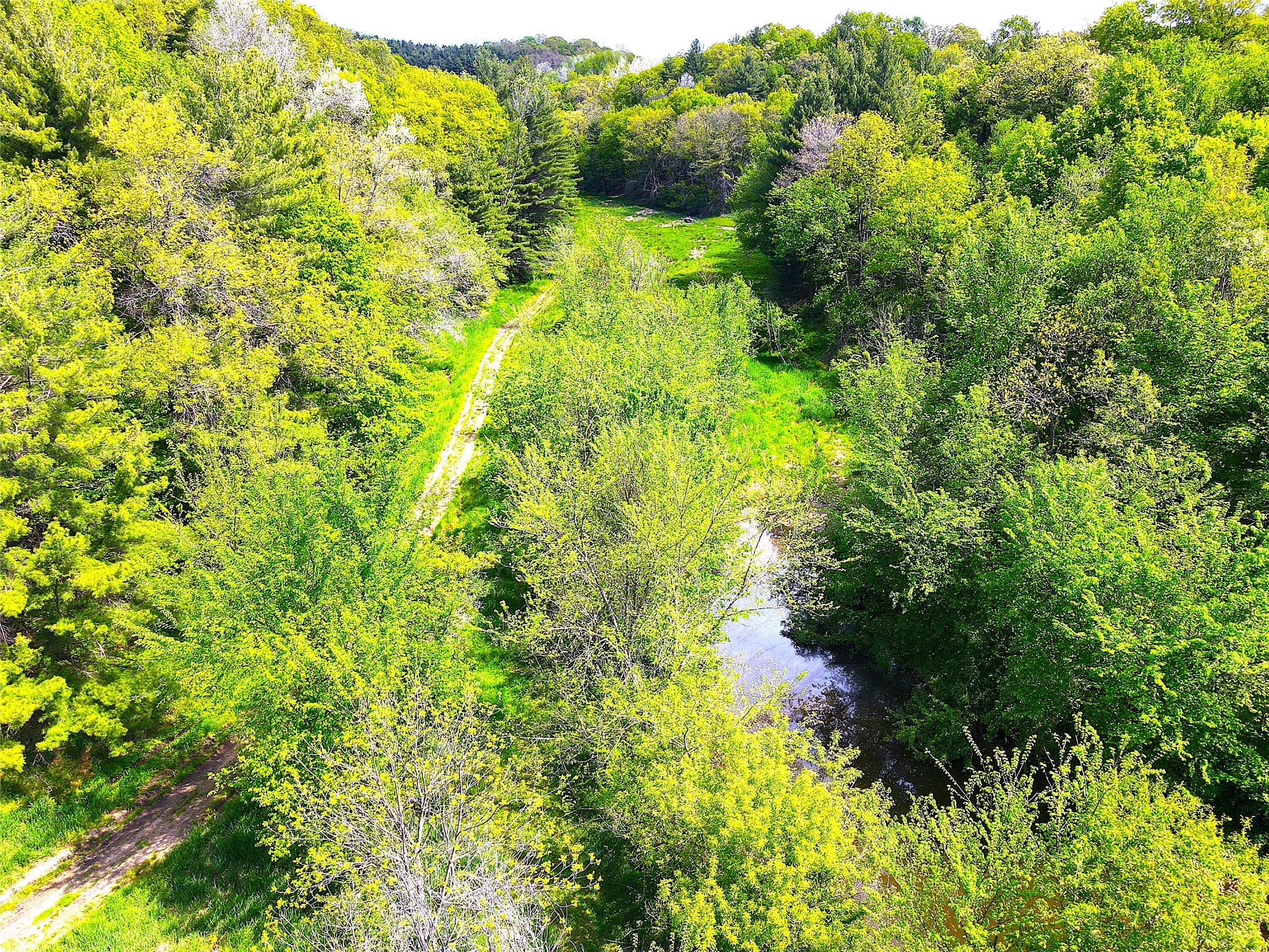 XXX County Road T Arcadia WI 54612 1601333 image23