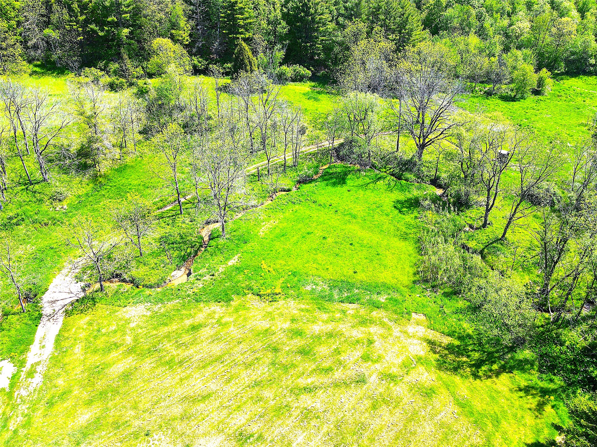 XXX County Road T Arcadia WI 54612 1601333 image24