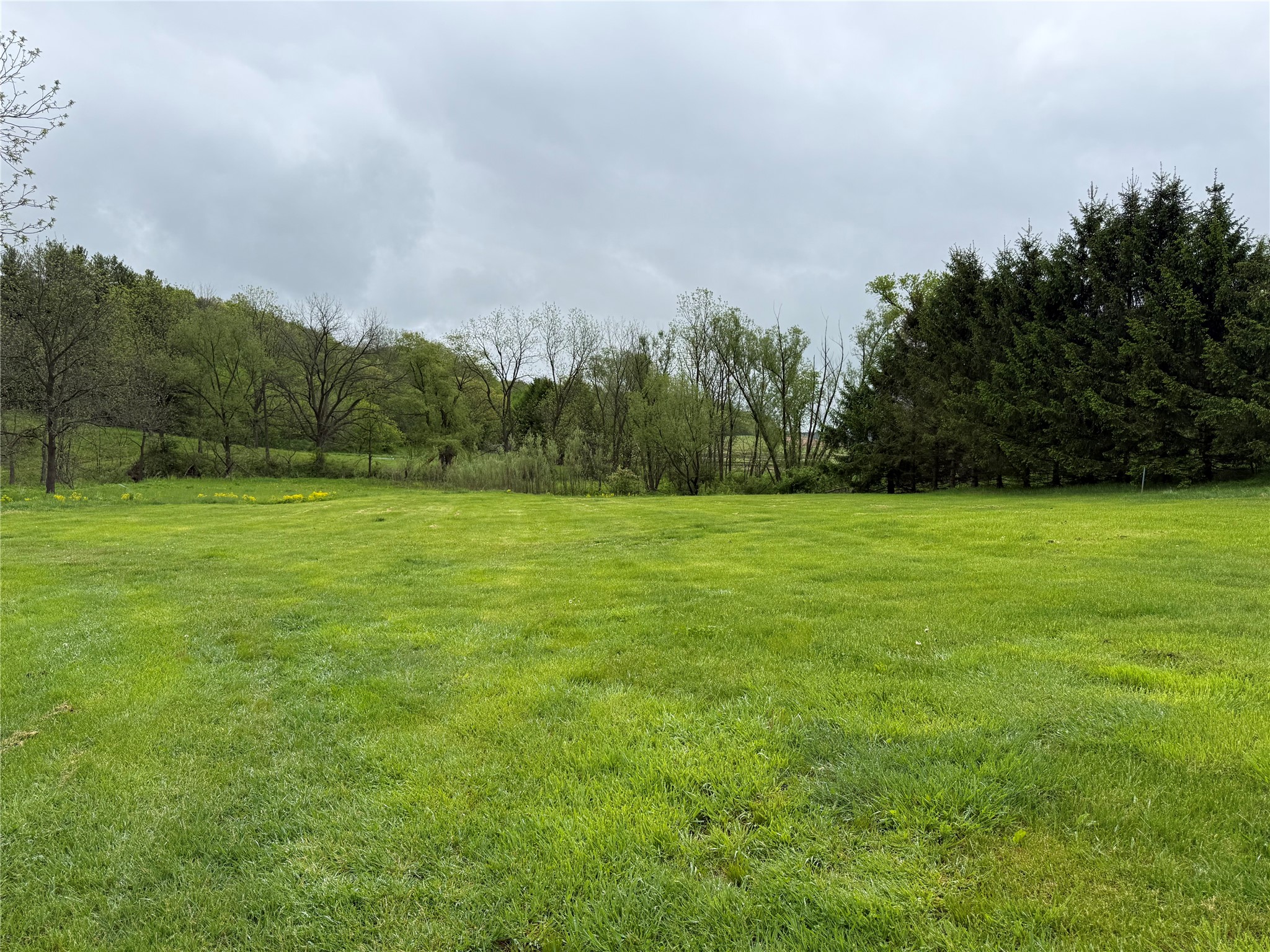 XXX County Road T Arcadia WI 54612 1601333 image25