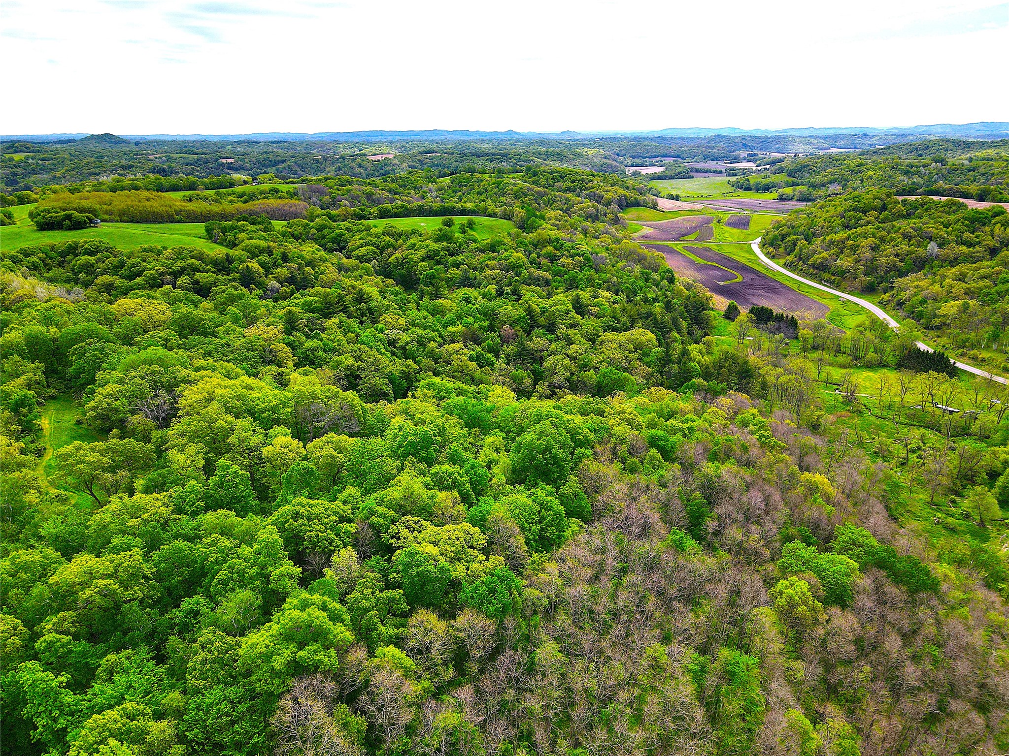 XXX County Road T Arcadia WI 54612 1601333 image3