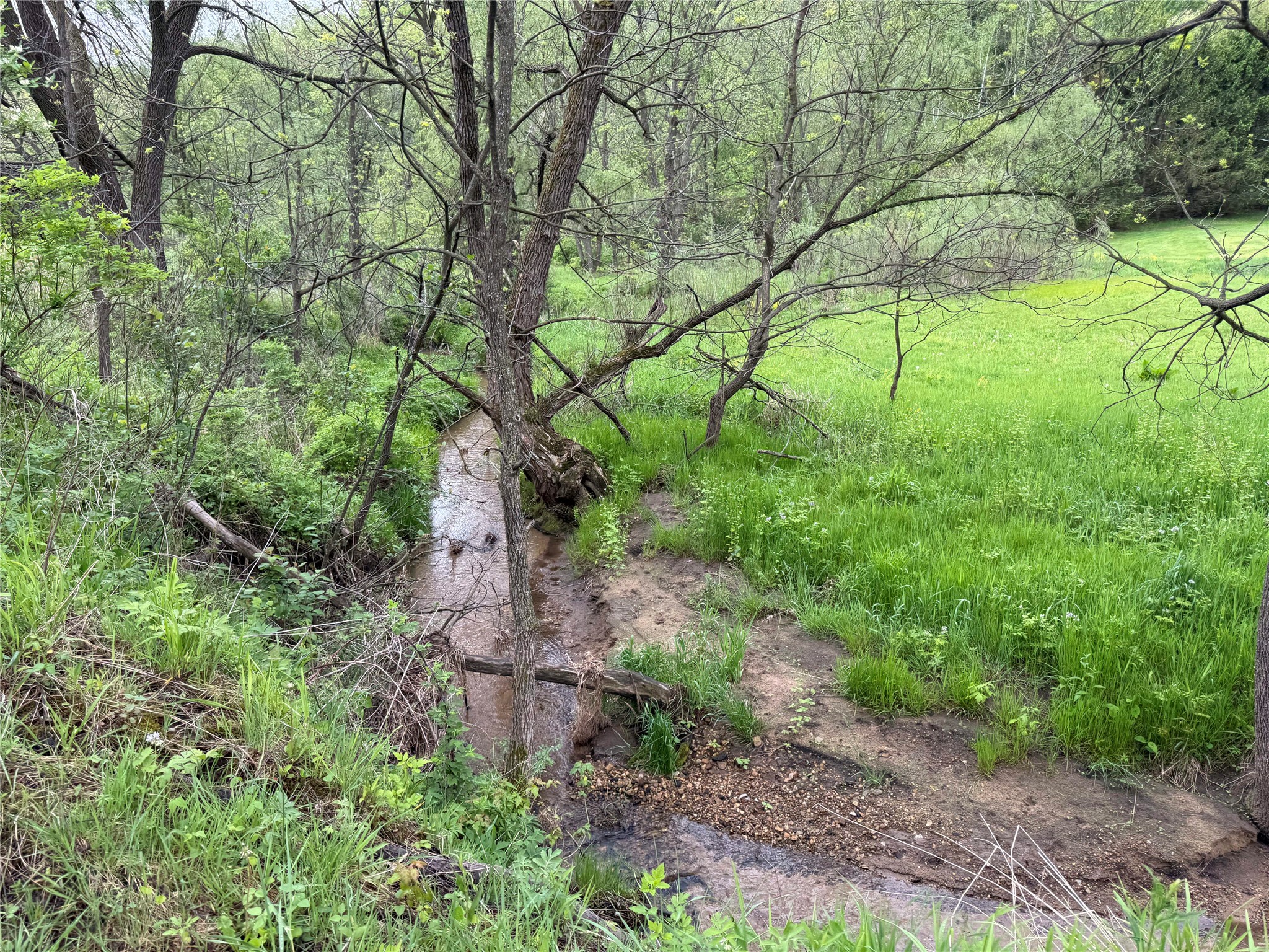 XXX County Road T Arcadia WI 54612 1601333 image30
