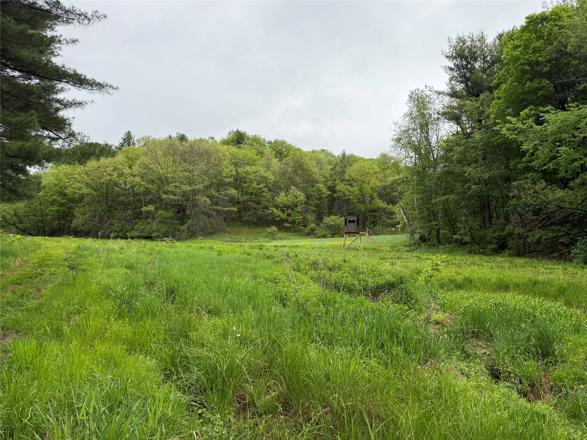 XXX County Road T Arcadia WI 54612 1601333 image32